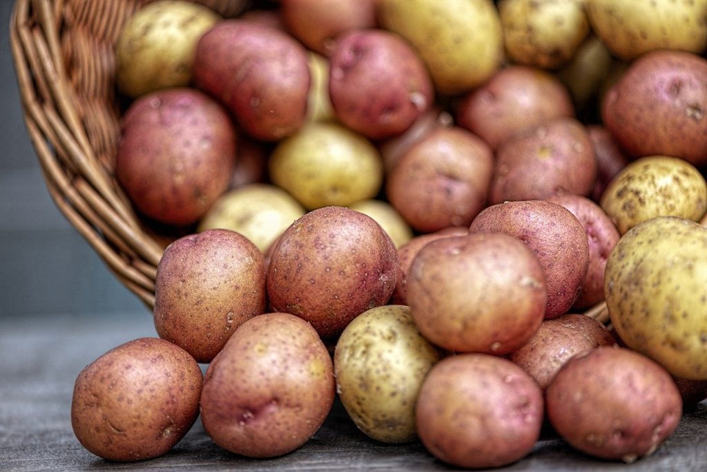 ziemniaki to produkty bogate w skrobię